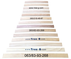 10.1.-Latoflex-letvice